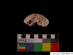 L_V23d3139 J3q349.1 U912 dM ca f261 from LoRes